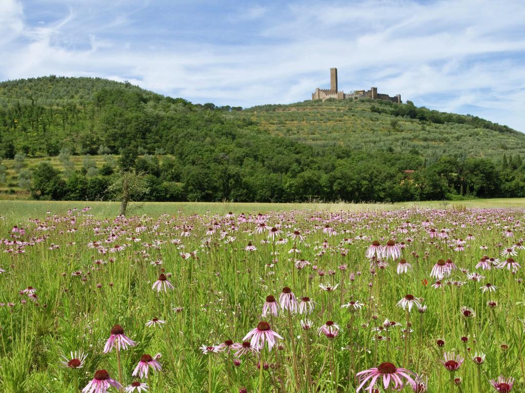 Belvilla By Oyo Montecchio Castiglion Fiorentino Exterior foto